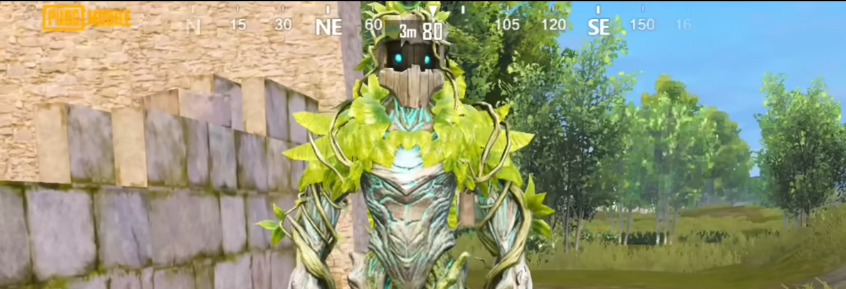 Barkle Companion